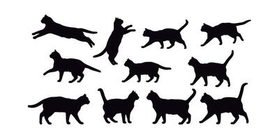 Amazing Cat Silhouettes Collection Diverse Poses for Design Elements. vector
