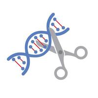 Crispr - gene editing tool. Genetic engineering. vector