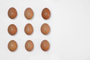 Raw brown chicken eggs on a white background with copy space photo