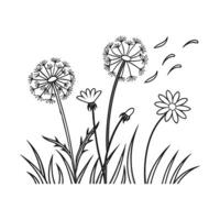 Dandelion and Chamomile Sketch Design vector