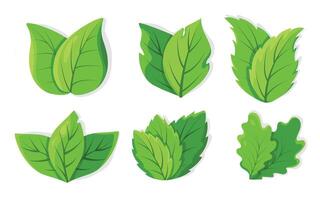 set of vibrant green leaves in flat style. Leaves of different shapes and sizes, for illustrations, logos, or nature themed designs. vector