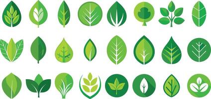 Nature Inspired Leaf Elements for Modern UI and UX Design vector