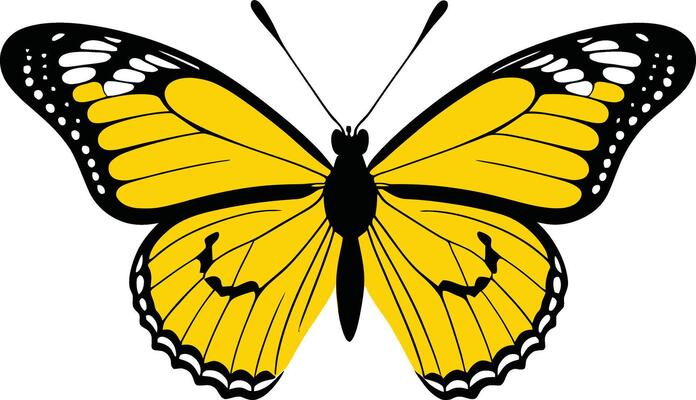 a monarch butterfly silhouette Clipart image isolated on white background. Beautiful Ornament Butterfly Decoration element Design