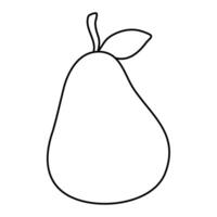 Pear in Branch Coloring Book illustration vector