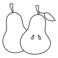 Pear in Branch Coloring Book for kids vector