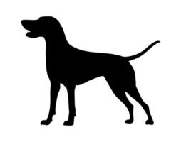A black silhouette of a dog standing on a white background vector