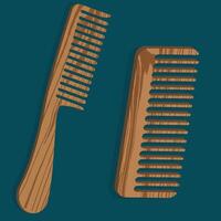 Natural Wooden Comb ,This image features two elegantly crafted wooden combs . vector