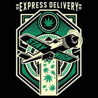 The logo for express delivery vector