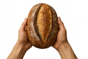 Artisanal Bread Showcase in Hands Against a Neutral Background png