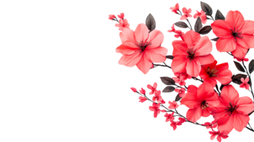 Spring flowers in a delicate bouquet png