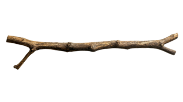 Natural branch with rough texture and unique shape png