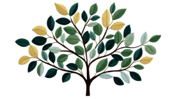 Foliage Tree, isolated background, cut out transparent png