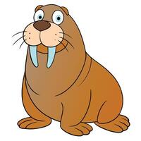 Cartoon style illustration of a cute walrus with tusks on white background vector