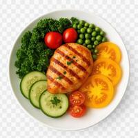 chicken breast with vegetables and tomatoes on a plate photo