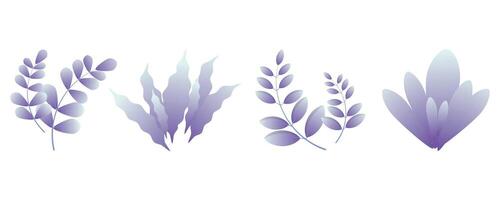 Gradient leaves illustration set Isolated on a white background. vector