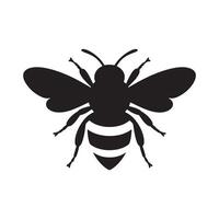 single honey bee icon vector