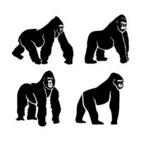 illustration animal gorilla on white background vector