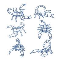 hand draw animal scorpion on white background vector