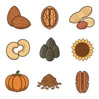 Nuts Seeds Icons Set Isolated. vector