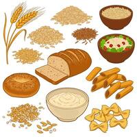 Grains Set Wheat with Pasta, Cereal, and Bread. vector