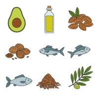 Omega3 sources Avocado with Fish, Oil, Nuts, and seeds. vector