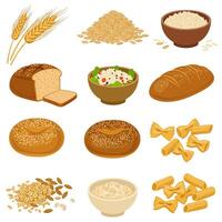 Cereal Grain Foods Bread with Pasta, and Oats. vector