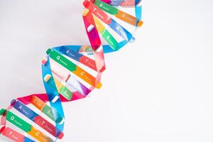 DNA or Deoxyribonucleic acid is a double helix chains structure formed by base pairs photo