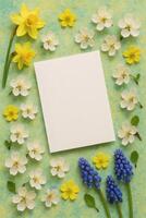 Floral Spring Card with White Flowers, Daffodils, and Grape Hyacinths Framing a Blank Card for an Invitation or Greeting on a Light Green Background. photo