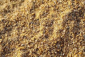 Sunlit Golden Sand Grains with Crisp Texture Detail on Beach Surface photo