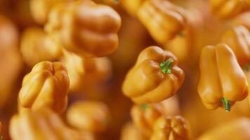 Animation of a group of bell pepper. Defocus. Close-up. video