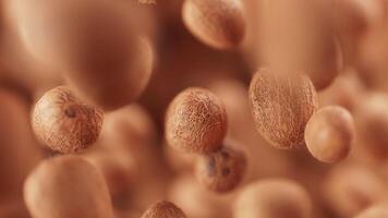 Animation of a group of coconuts. Defocus. Close-up. video