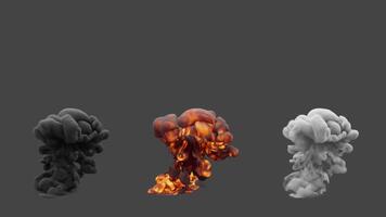 Set of three types of fire explosions. File contains Alpha Channel. video