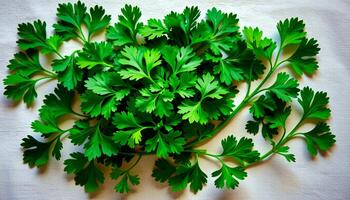 Bold flat lay of parsley on a canvas cloth texture, with leafy green tones photo
