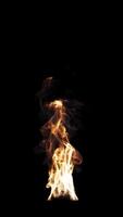 Animation of fire burning. File contains Alpha Channel. video
