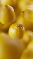 Animation of a group of lemons. Defocus. Close-up. video