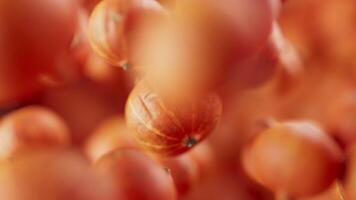 Looping animation of a group of pumpkins. Defocus. Close-up. video