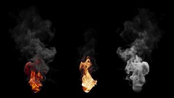Set of three fire burning variants. File contains Alpha Channel. video