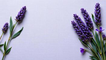 Bold flat lay of lavender on a linen fabric texture, with muted violet tones photo