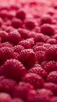 Colorful background covered with raspberries. Ripe berries for wallpaper. Patterns with fruits. Close-up. Vertical composition. video