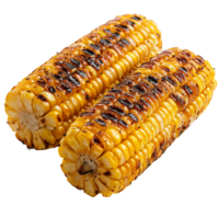 grillad majs på de majskolv sommar utegrill mat stänga upp se isolerat på transparent bakgrund png