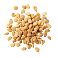 Close up of pile of dried corn kernels food ingredient grain isolated on transparent background png