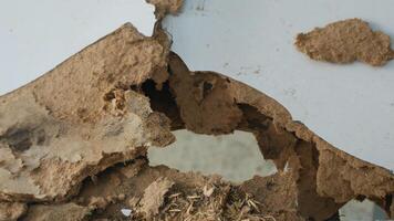 A damaged wood reveals hollow area, showcasing signs of decay and deterioration. texture is rough, with visible particles and remnants of material, indicating neglect or exposure to moisture photo