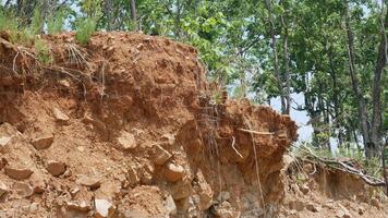 An erosion of soil reveals layers of earth, showcasing mix of clay and rock formations. scene is surrounded by lush green trees, highlighting contrast between barren land and vibrant foliage photo