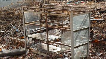 An abandoned glass display case sits in neglected outdoor area, surrounded by dry leaves and debris, evoking sense of decay and forgotten memories photo