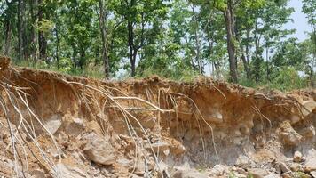 An image showcases natural landscape featuring exposed soil layers, showcasing roots intertwined with rocky terrain. scene evokes sense of earthiness and connection to nature photo