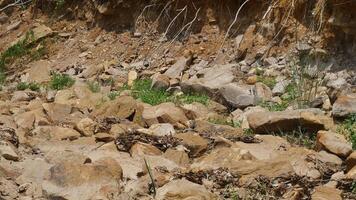 A rocky terrain with scattered stones and patches of green vegetation, showcasing natural landscape. earthy tones and textures create rugged yet serene environment, perfect for outdoor exploration photo