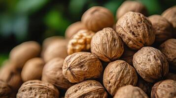 Fresh walnuts stacked together in a vibrant setting, ready for consumption or culinary use photo