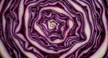Inside a Red Cabbage Detailed Cross Section Showing Pattern and Texture photo