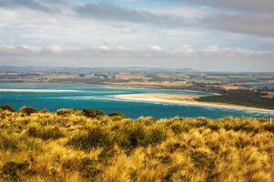 View of Stanley from the nut photo