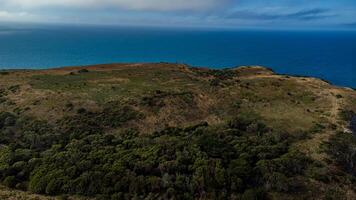 Aerial view of the top of the nut photo